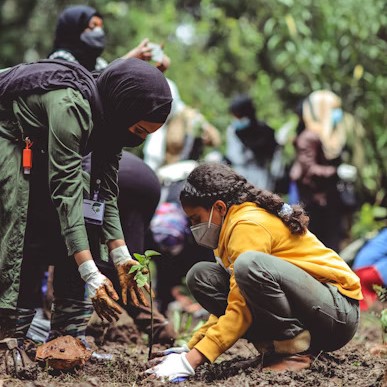 Tree planting activity